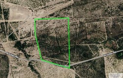SAN JULIAN, ROMA, TX 78584