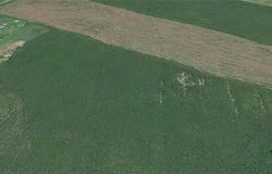 Johnson Hollow Road, Roxbury, NY 12474
