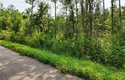 TBD4 Winter Creek Court, Fairview Township, MN 56468