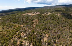 Lots 4,5,& 6 Elk Ranch Road, Glade Park, CO 81523