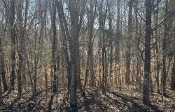 Lot 71 Saddle Ridge Drive, Speedwell, TN 37870
