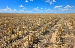TBD County Road, Anton, CO 80801