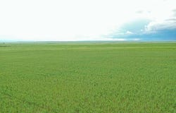 TBD Arpan Road, Nisland, SD 57762