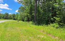 0 Shoreline, Kingsland, GA 31548