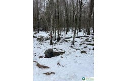 Cobblewood Road, Wayne, PA 18424