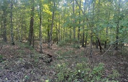 Cougar Drive, Spencer, TN 38585