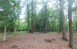 1105 Cedar Road, Lincolnton, GA 30817