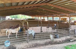 546  Hwy. 145, Downsville, LA 71234