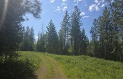 3418 KINGSBURY LAKE WAY, KETTLE FALLS, WA 99141