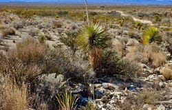 TR 4848 E Spanish Sky Rd., Terlingua, TX 79852