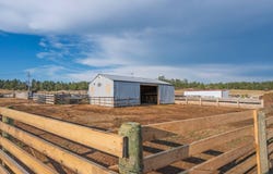 10321 Two Track Trail, Edgemont, SD 57735