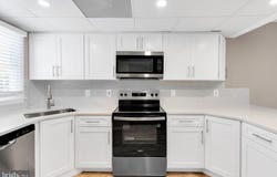 163 JAMESTOWN ROAD, OCEAN CITY, MD 21842