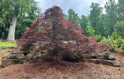 2495 Laurel Park Highway, Laurel Park, NC 28739
