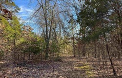181 Old Springfield Road, Quitman, AR 72131