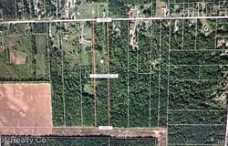 Birch Run Rd., Arbela Twp, MI 48746