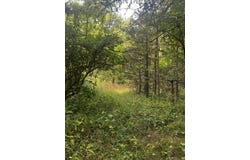 0 N Whites Bridge Road, Belding, MI 48809