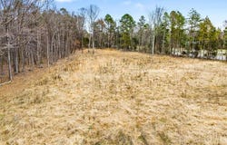 Younts View Drive, Trinity, NC 27370