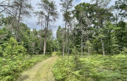 00 E 10 Mile Road, Irons, MI 49644