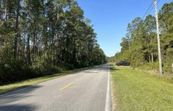 245 GEORGETOWN DENVER Road, Georgetown, FL 32139
