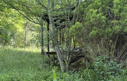 353 Clarence Potter Road, Mountain City, TN 37683