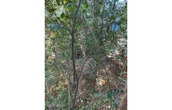 3746 Overlook Drive, Macon, GA 31204