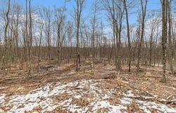 00 E Oakwood Trail, Reed City, MI 49677