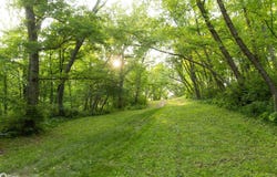 Tbd Bergen Lane NE, Solon, IA 52333