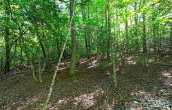 76 Drovers Lane, Fairview, NC 28730