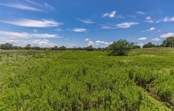 LOT 8 Mill Creek Ranch Road, New Ulm, TX 78950