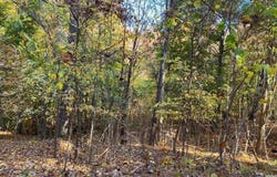 41-5 E Audubon Dr, Shepherdsville, KY 40165