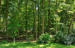 605 Canotage Court, Cedar Grove, NC 27231