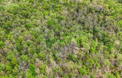 0000 Stone Ridge Rd, Huggins, MO 65484