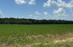 000 Pump Street, Des Arc, AR 72040