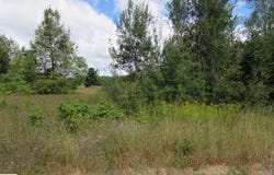802 GROUSE DRIVE, KALKASKA, MI 49646