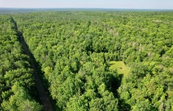 On JOHNSON RD, Crandon, WI 54520