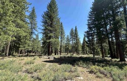 11651 Bottcher Loop, Truckee, CA 96161