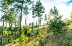 1065 Trappers Creek Road, Lakeside, MT 59922