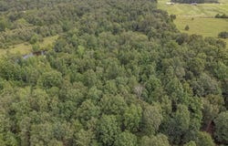 4152 Ponds Tract 6 Road, Maynard, AR 72444