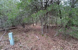 Lot 54 Rick RD, La Grange, TX 78945