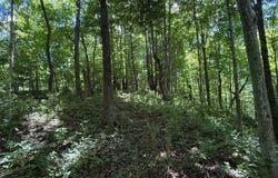 State Rd 101 W Bull Hill Rd, Liberty, IN 47353