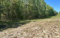 2500 Dean Church Rd, Ozark, AL 36360