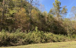 111 Peggs Fork Road, Jackson, KY 41339