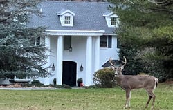 1485 FAIRMONT DRIVE, HARRISBURG, PA 17109
