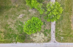 1105 Lincoln Ave, Pacific Junction, IA 51561