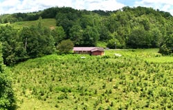 1730 Scott Branch Road, Barbourville, KY 40906
