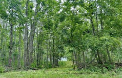4094 N Vail Lane, Gaylord, MI 49735