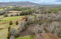 4 Acres County Road 42, Hollywood, AL 35752