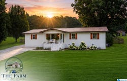 5743 COUNTY HIGHWAY 27, SPRINGVILLE, AL 35146