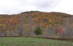 Gregory Hollow Road, Hamden, NY 13782
