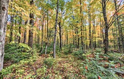 ON LAKESHORE DR, Bessemer, MI 49911